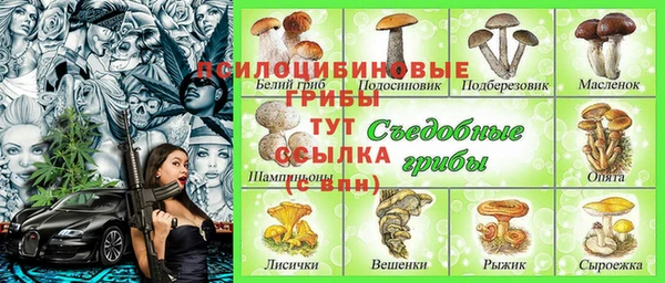 стаф Алексеевка