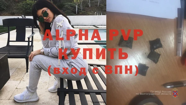 стаф Алексеевка