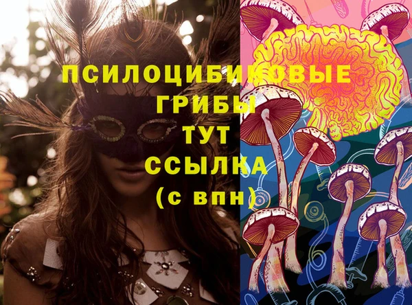 стаф Алексеевка