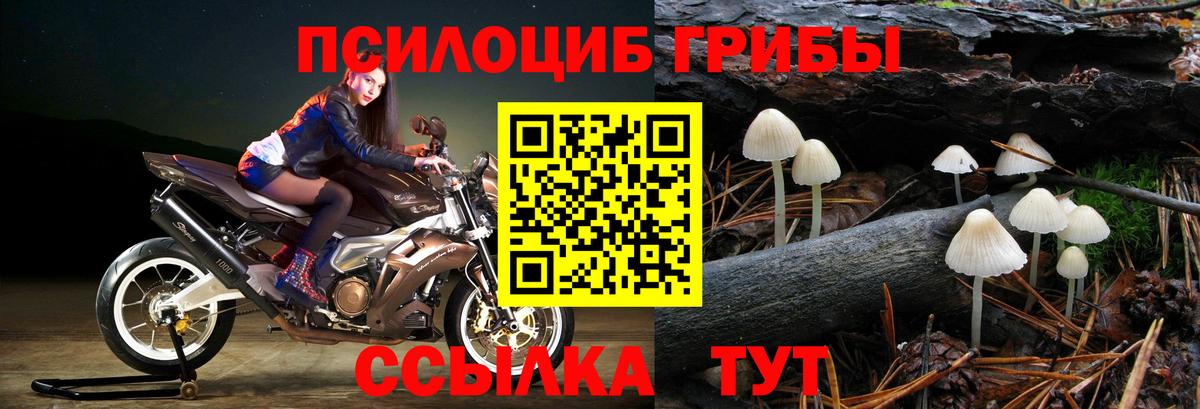 Кемерово  Галлюциногенные грибы Cubensis  купить закладку  Псилоцибиновые грибы Psilocybine cubensis  Вход с VPN 