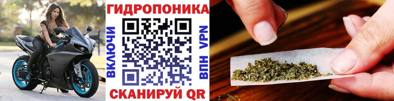 Канабис THC 21% Кемерово